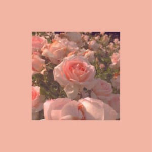 Meet your Posher, Chanel